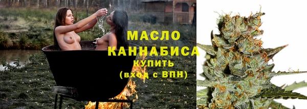 индика Абдулино