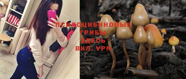 соль курить ск Алексеевка