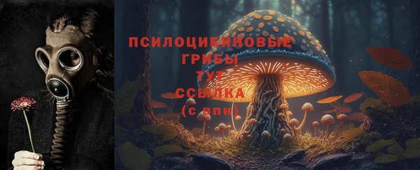 ПСИЛОЦИБИНОВЫЕ ГРИБЫ Алексин