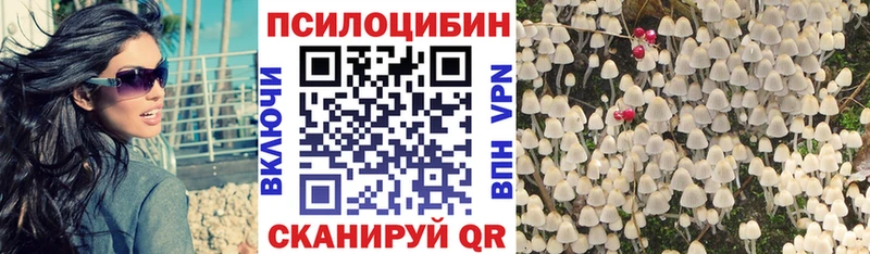 Псилоцибиновые грибы Psilocybe  это состав  Клинцы 