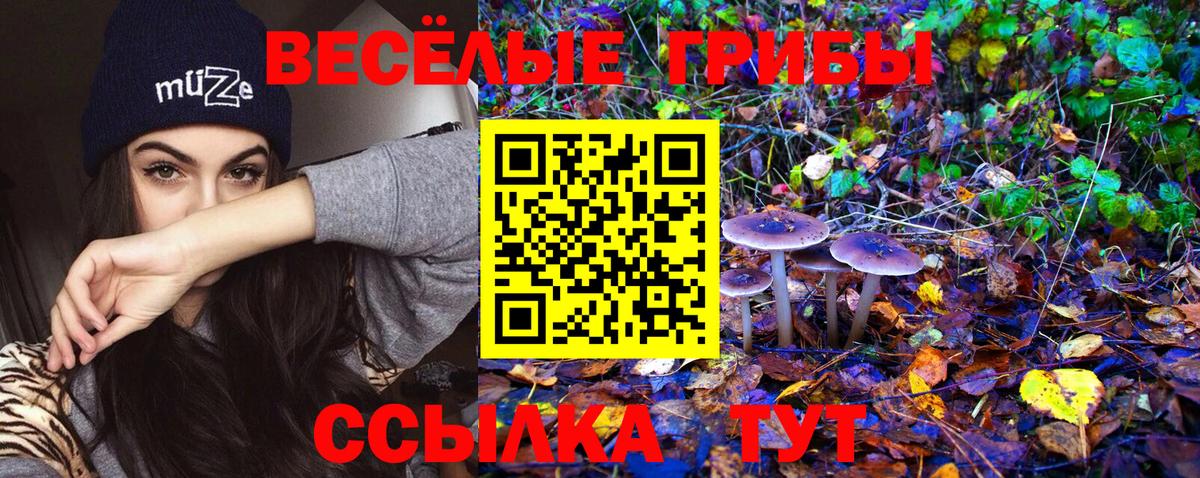 Клинцы  Псилоцибиновые грибы Magic Shrooms  Галлюциногенные грибы Psilocybine cubensis  Вход с VPN 
