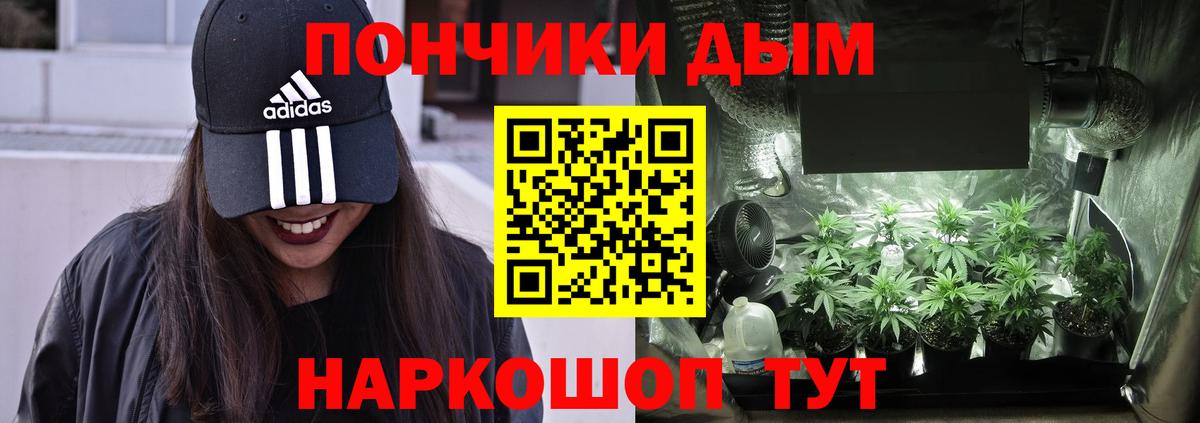 Канабис гибрид Клинцы